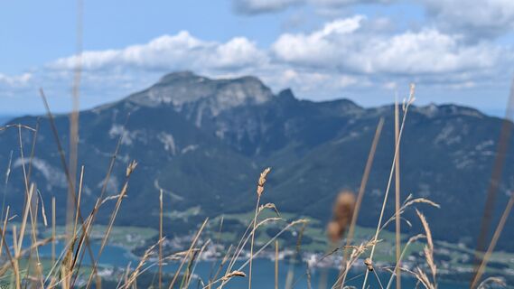 Foto von Klaus Lehner entlang der Tour