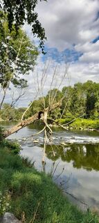 Photo de Brigitte Forsthuber le long du parcours