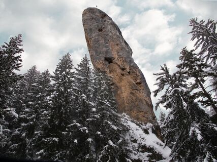 Monolith inmitten des verschneiten Waldes