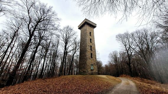 Fotografia z Regina Fleischmann na trase