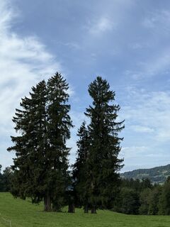 Foto de Ilona Schuster a lo largo del recorrido