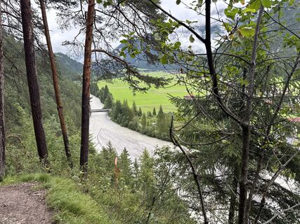 Foto von Grizzli entlang der Tour