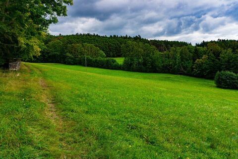 Almwiese zwischen Bergern und Sading
