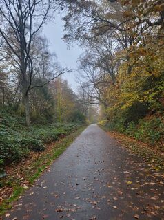 Foto de Any a lo largo del recorrido