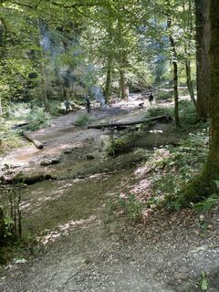 Foto von Rene Bongni entlang der Tour