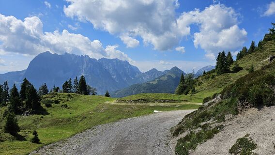 Fotografija s spletne strani Luigino Berkel na poti