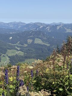 Foto von Bettina Boysen entlang der Tour