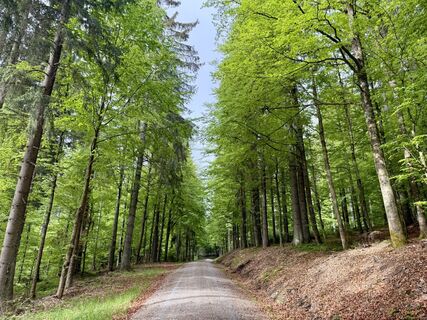 Foto von Norbert Herbig entlang der Tour