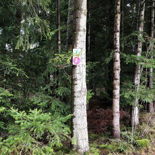 Beschilderung Schneeschuhwanderung