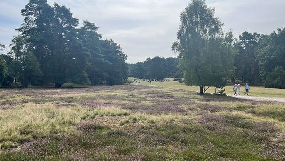 Foto von Frank Baars entlang der Tour