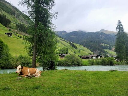 Foto von mmecki entlang der Tour