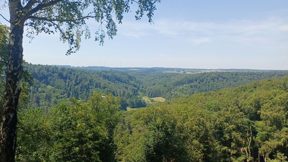 Foto von Koendebaere entlang der Tour