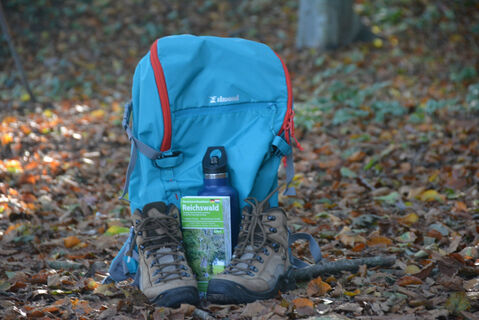 Wandern im Reichswald