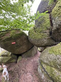 Photo de Babs Holz le long du parcours