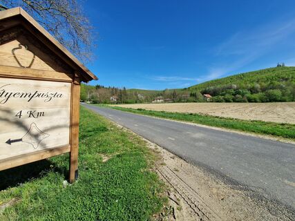 Fotografia z Szomi Balázs na trase