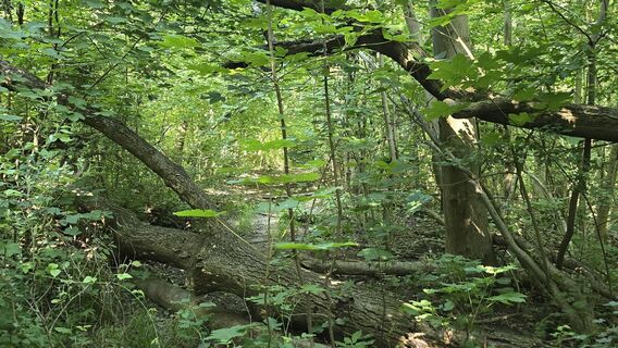 Foto von Hieu Duc Tram entlang der Tour