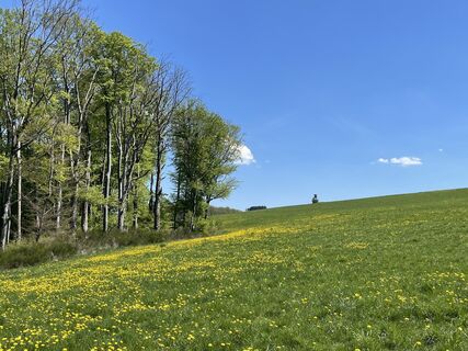 Foto de Olaf Mönig a lo largo del recorrido