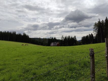 Foto von Lena Eder entlang der Tour