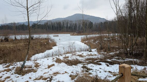 Foto von Pfefferam entlang der Tour