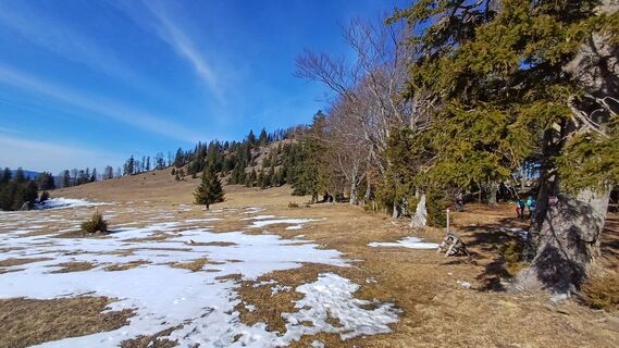 Foto från Lydia Pritzova under resans gång