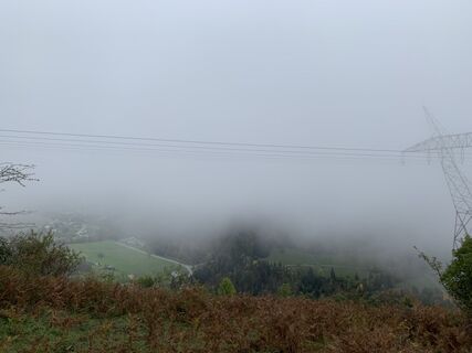 Foto von Koen De Wit entlang der Tour