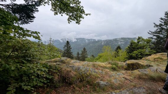 Photo de Richard Schwald le long du parcours