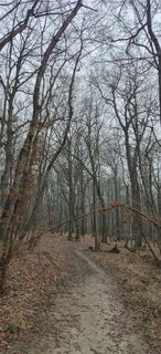 Fotografija s spletne strani Szőlősi József na poti
