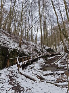 Photo de Katona Ferk Mariann le long du parcours