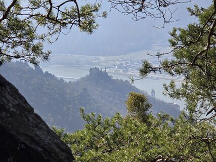 Fotografija s spletne strani Martina Gerneck na poti