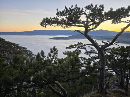Fotografija s spletne strani TwilightTea na poti