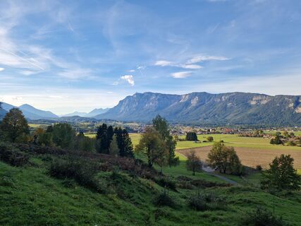 Foto von Drummerkaktus entlang der Tour