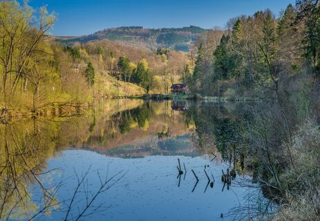 Naturbad Kematen (Copyright: zVg Gemeinde Kematen)