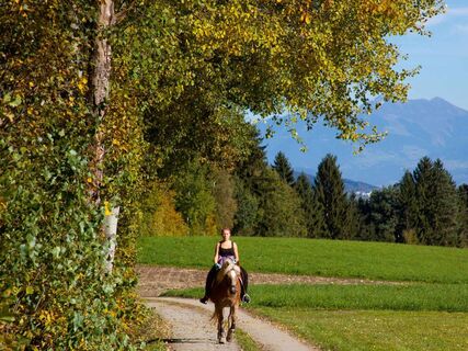 Reiterin-Waldweg-Oberperfuss-Herbst-jpg2048x1536PX.jpg