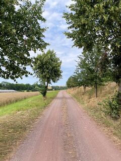 Foto von Eric Grochau entlang der Tour