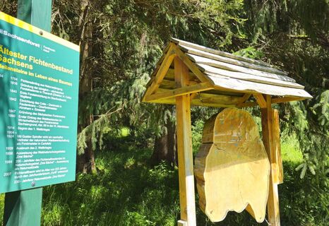 Naturschutzgebiet Drei Bächel