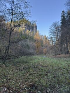 Fotografia z Steffen Kiesel na trase