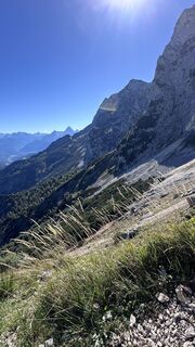 Zdjęcie z Mountain Cat ? ⛰️ wzdłuż trasy