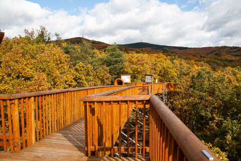 Baumwipfelweg Althodis