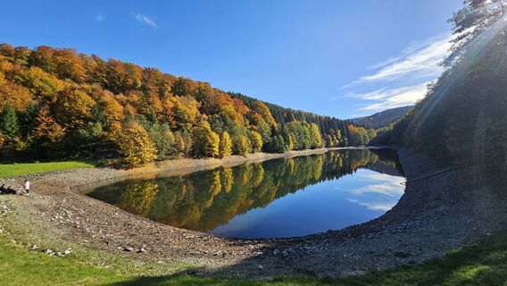 Fotografia z 4ralle na trase