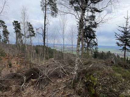 Zdjęcie z Andreas Stopperich wzdłuż trasy