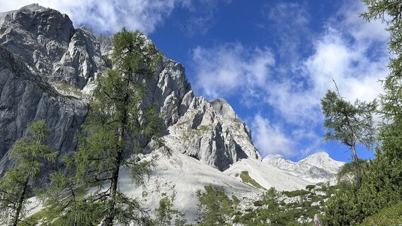 Photo de Mountain Cat ? ⛰️ le long du parcours