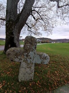 Foto de Bairebike a lo largo del recorrido