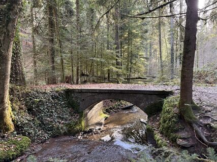 Foto von Norbert Herbig entlang der Tour