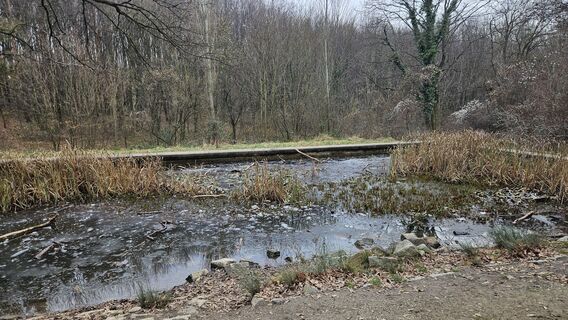 Foto de Robert8992 a lo largo del recorrido