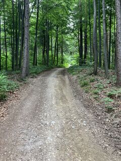 Foto von Michael Schuller entlang der Tour