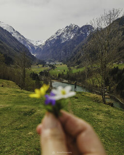 Fotografija s spletne strani Željko Brčina na poti