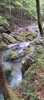 Photo de Pascal Ch. le long du parcours