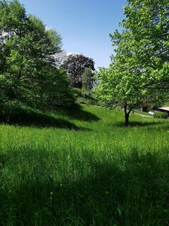 Fotografija s spletne strani Waldläufer na poti