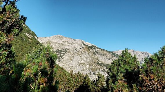 Blick auf den Unnutz - von der Steinberger Seite