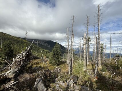 Foto von Natur_erleben_dg entlang der Tour